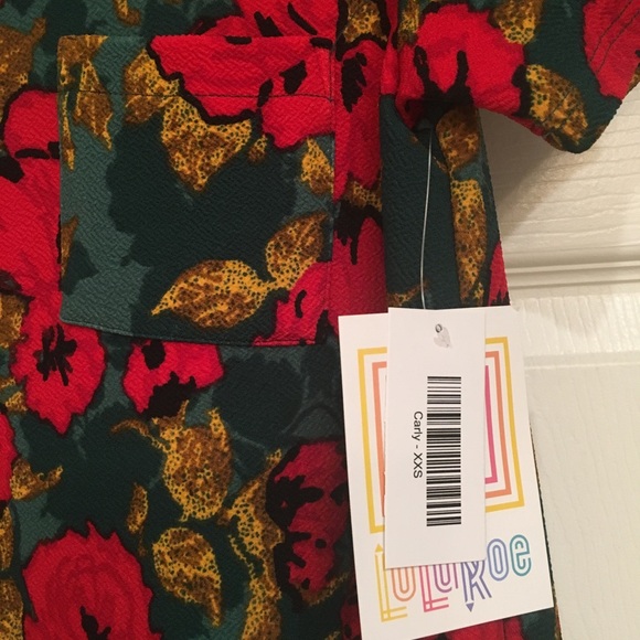 LulaRoe Carly Dress - Picture 3 of 4